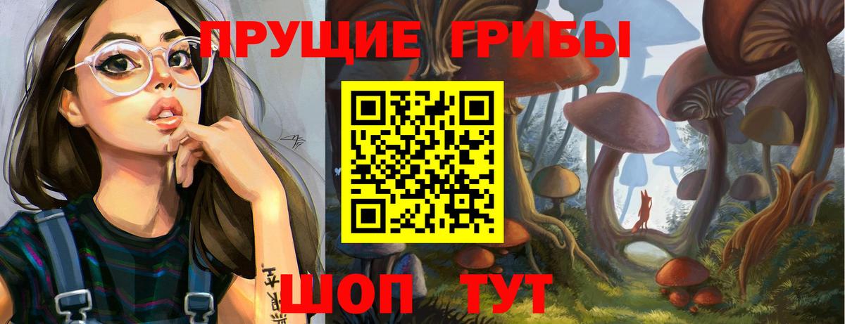 Галлюциногенные грибы Magic Shrooms  Псилоцибиновые грибы Psilocybe  Вход с VPN  Урус-Мартан 